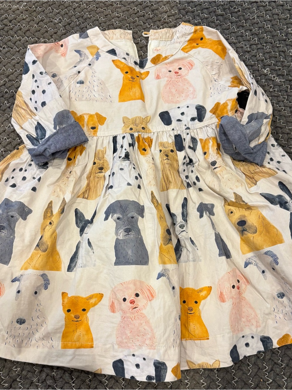 Pink Chicken Watercolor Dog Dress